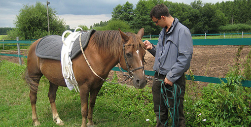 Peter Swoboda mit Mikado und neuem Voltigiergurt